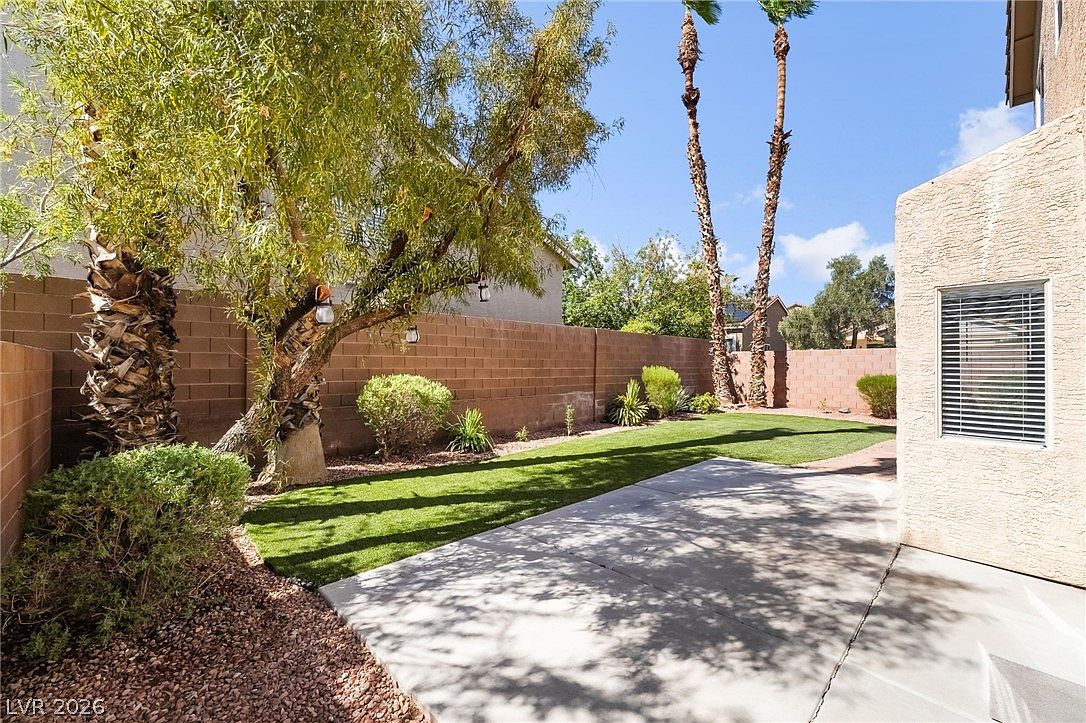 Landscaped backyard with mature palms